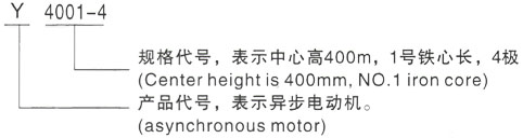 西安泰富西玛Y系列(H355-1000)高压YJTG-132M-8A/3KW三相异步电机型号说明