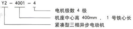 YR系列(H355-1000)高压YJTG-132M-8A/3KW三相异步电机西安西玛电机型号说明